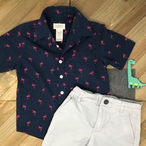 Size 5 Blue Flamingo 🦩 Boys Shirt and Short Set